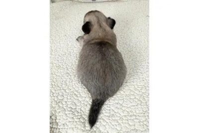 image1_6.jpeg